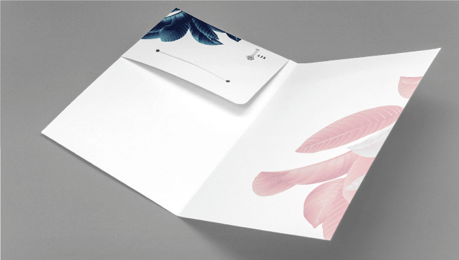 1 Pocket + Slit 2 Image