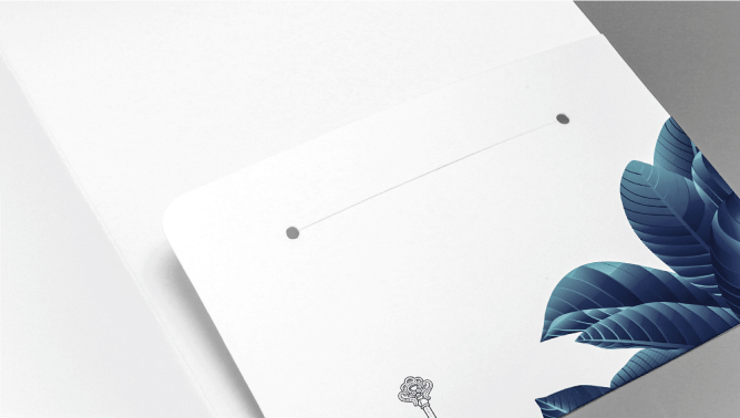 1 Pocket + Slit 3 Image